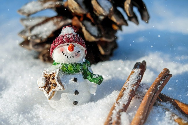 Спеть новогоднюю песню и сделать снеговика своими руками: что предлагает ДК «Гагаринец» онлайн