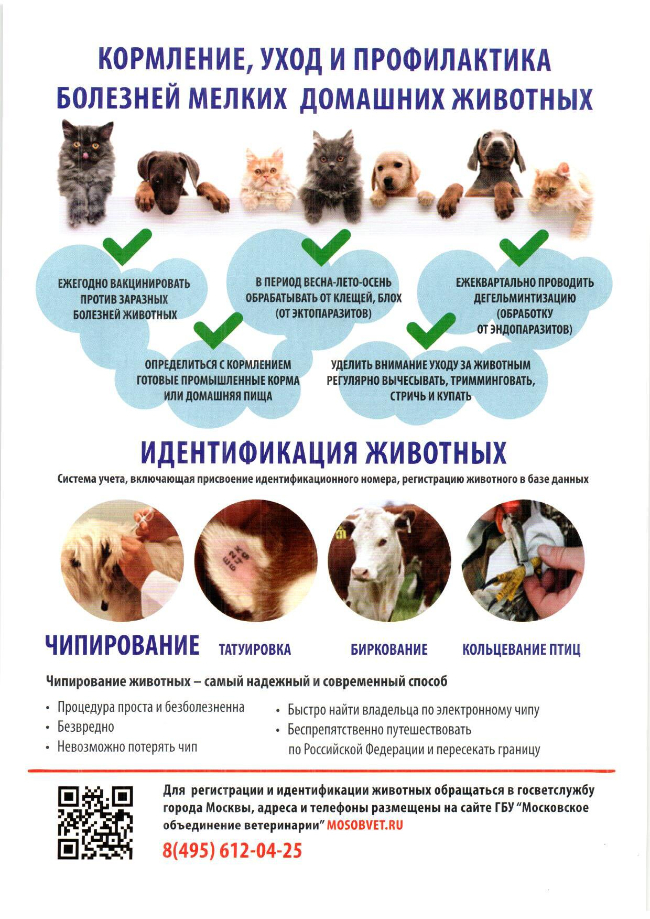 Комитет ветеринарии города Москвы напоминает жителям города о необходимости  вакцинации собак и кошек и о правилах их содержания